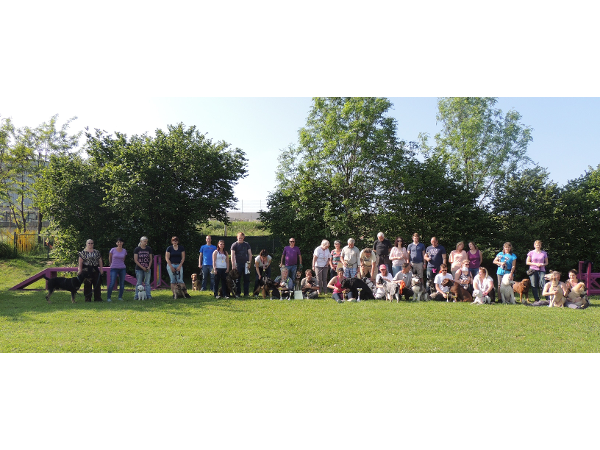 Bild 11 von Hundeschule V.A.S.Z.-Mistelbach