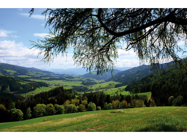 Bild 16 von Gemeindeamt der Gemeinde Gaal