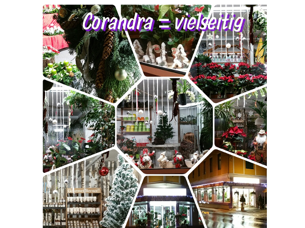 Bild 6 von Blumen Corandra - Inh. Alexandra Zwinkels