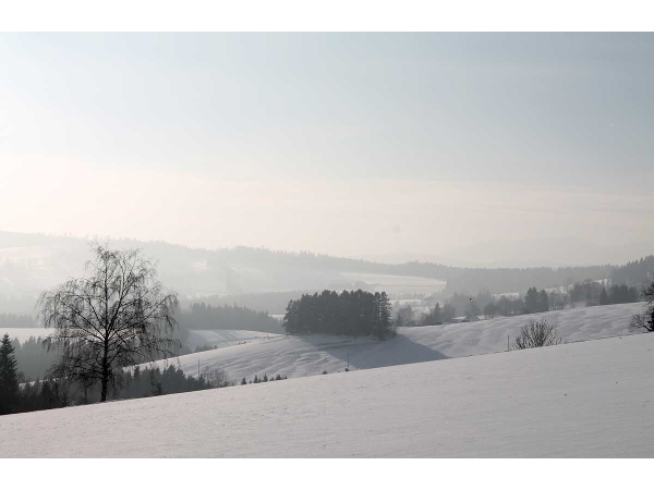 Bild 4 von Tourismusverband Joglland – Waldheimat