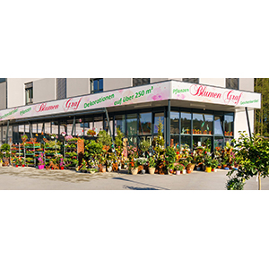 Logo von Blumen Graf Dekoration Pflanzen Geschenkartikel