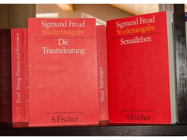 Bild 9 von Gollner Susanne - Praxis f Psychotherapie u Psychoanalyse