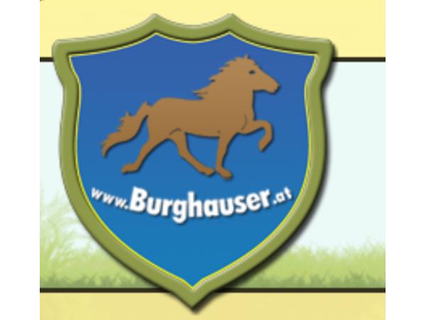 Bild 8 von Islandpferdereithof Burghauser