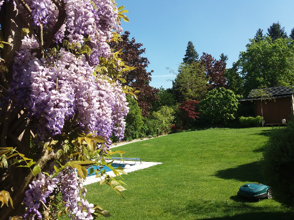 Bild 1 von Gartengestaltung Berl
