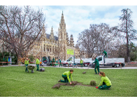 Steinbauer Garten- und Landschaftsgestaltung GmbH