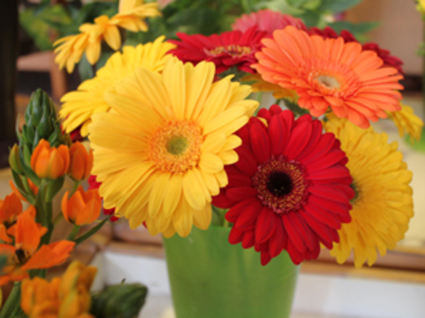 Bild 17 von Blumen Schuster in Meidling - Christine Schuster