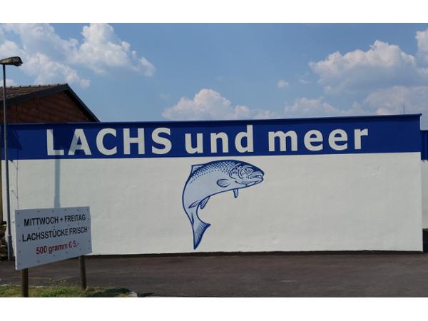 Bild 8 von Malermeister Kurti GmbH