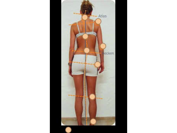 Bild 13 von Peter Grasser, Blutegeltherapie, Schmerztherapie