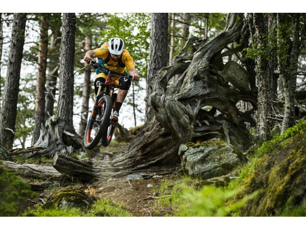 Bild 23 von Friesi's Bikery