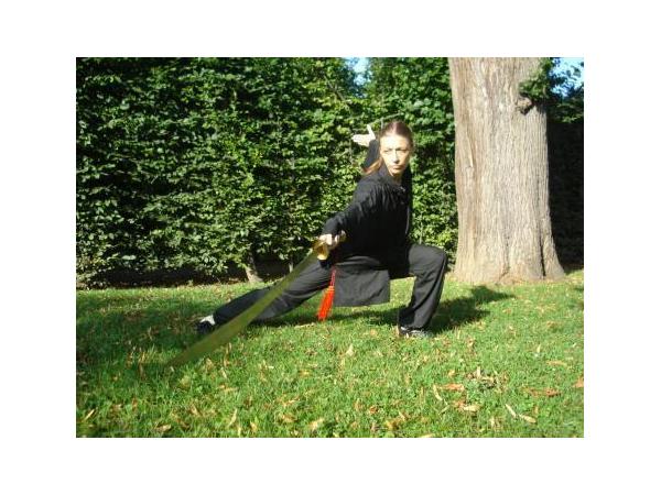 Bild 11 von Wushu Academy