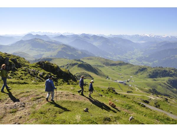 Bild 5 von Alpenhaus Kitzbüheler Horn 1670m - Franz Reisch
