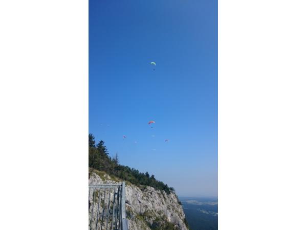 Bild 2 von Fly Hohe Wand - Flugschule GmbH
