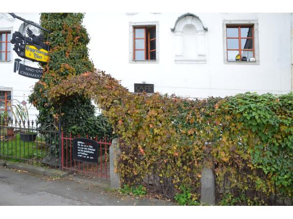 Bild 1 von Cinematograph Kino-Cafe