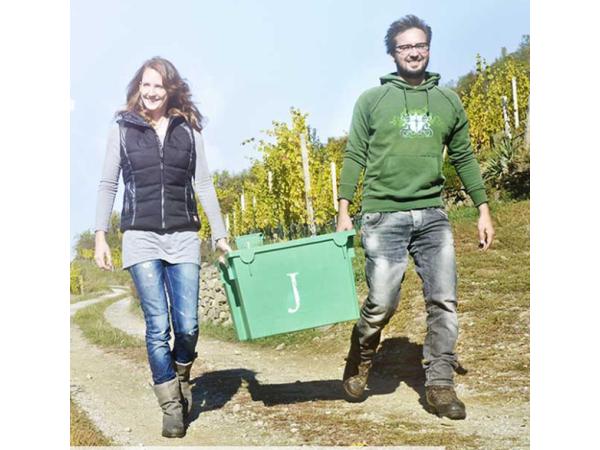 Bild 1 von Weingut Jurtschitsch GmbH & Co KG