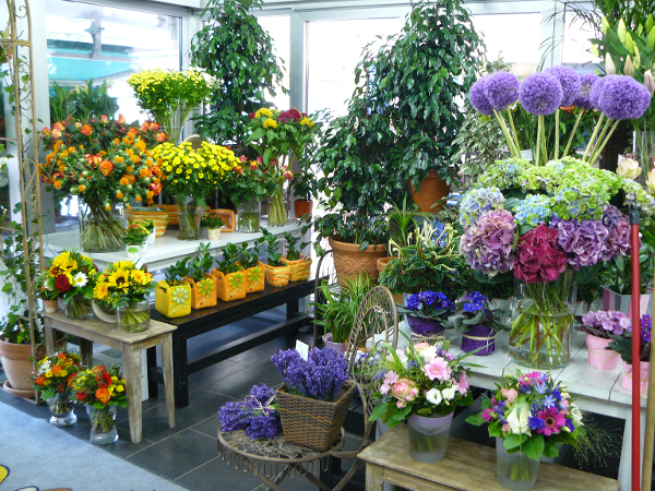 Bild 7 von PENZO Flora Flötzersteig GmbH