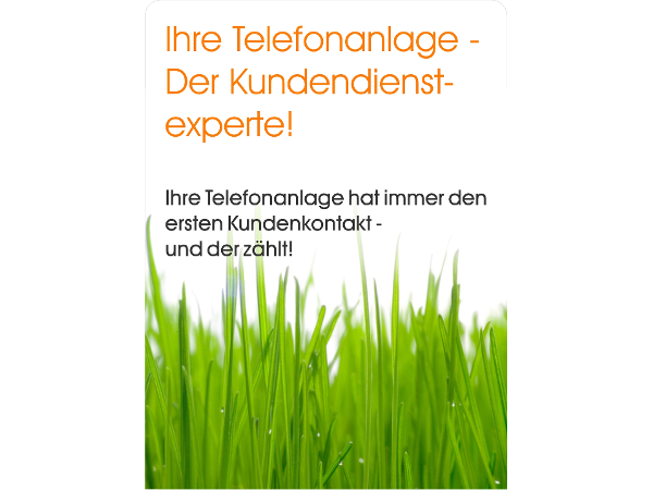 Bild 1 von Perfect Phone