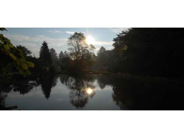 Bild 20 von Schwimmteich & Gartengestaltung Matheis KG