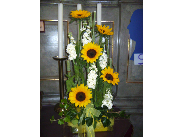 Bild 6 von Blumen Lang - Katja Kanitsch-Lang