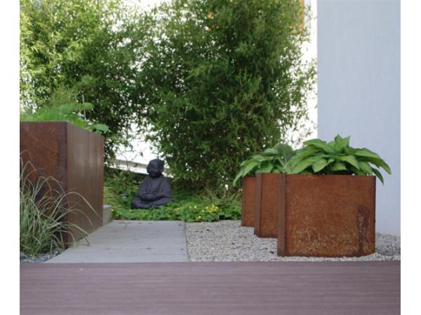 Bild 7 von GartenKult