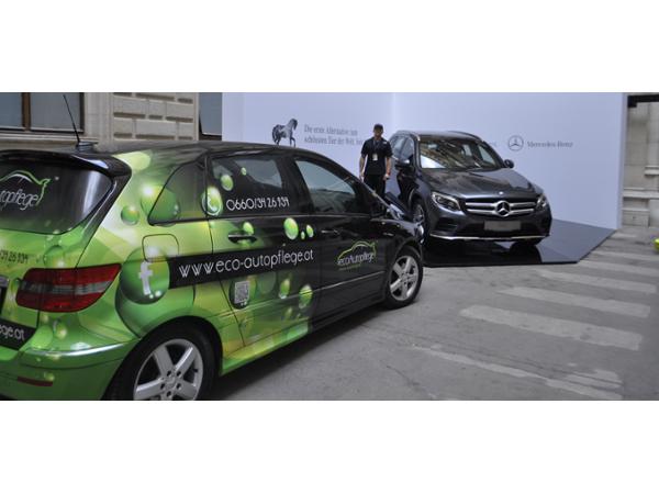 Bild 1 von eco Autopflege