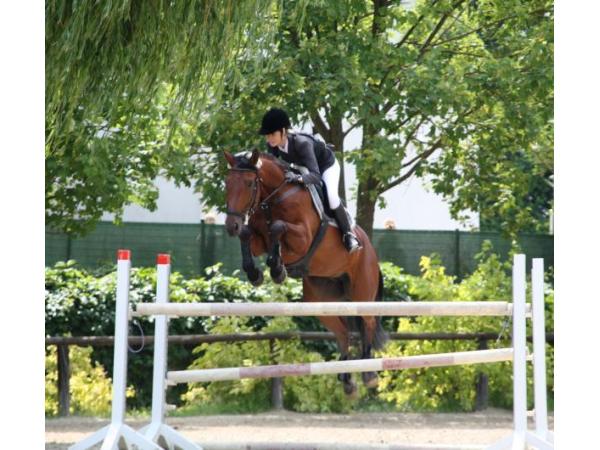 Bild 10 von Reitstall Gnadenwald - Fam Rantner
