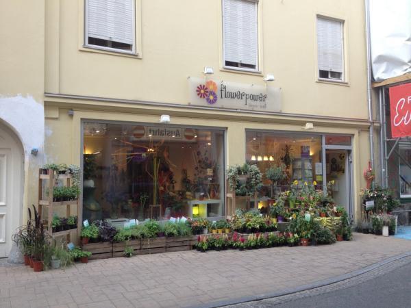 Bild 1 von flowerpower
