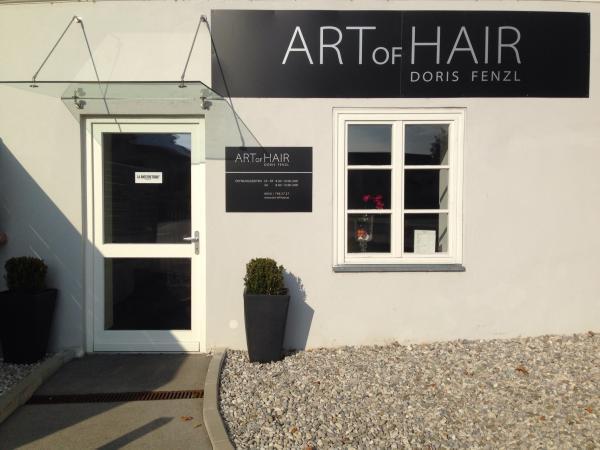 Bild 1 von ART OF HAIR