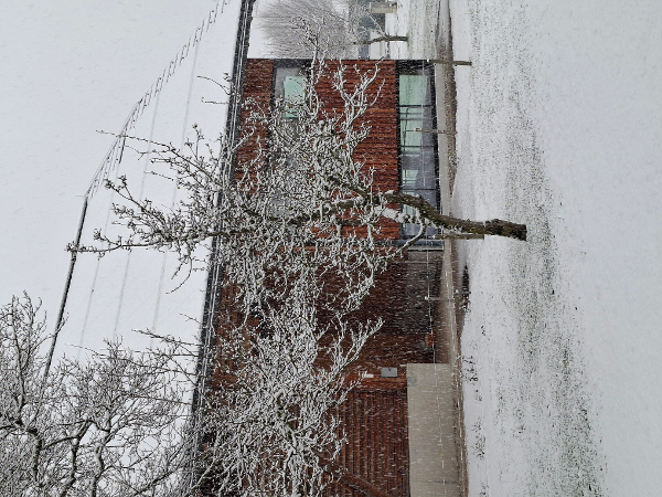 Bild 49 von Haus Christoph