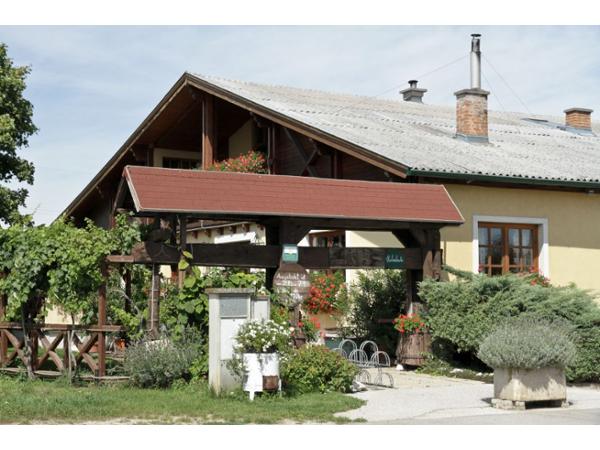 Bild 1 von Weingut Herber OG