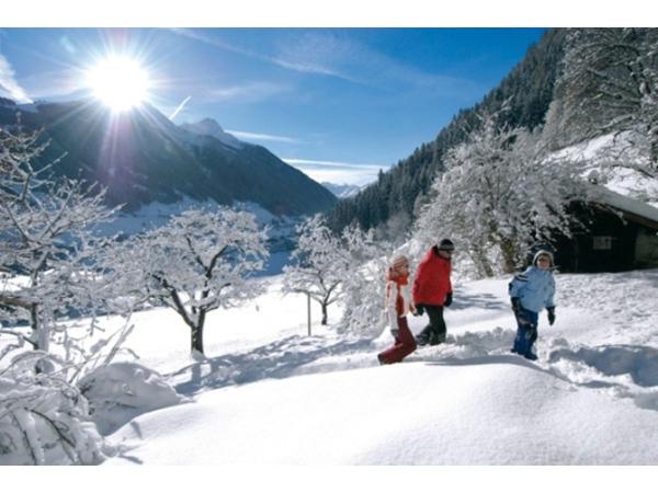 Bild 5 von Appart Pfeifer