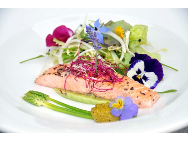 Bild 5 von frederik's catering Frederik Mayringer