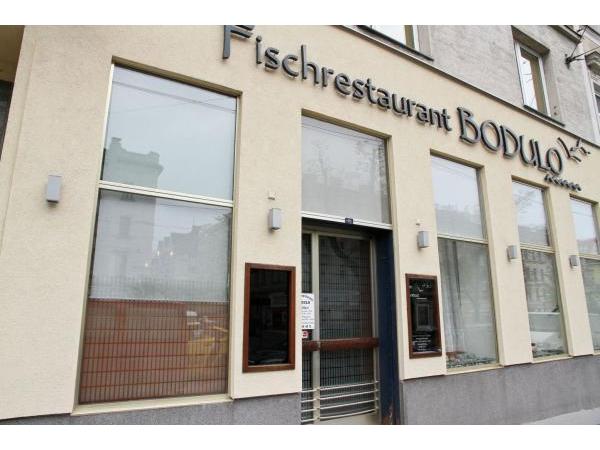 Bild 1 von BODULO
