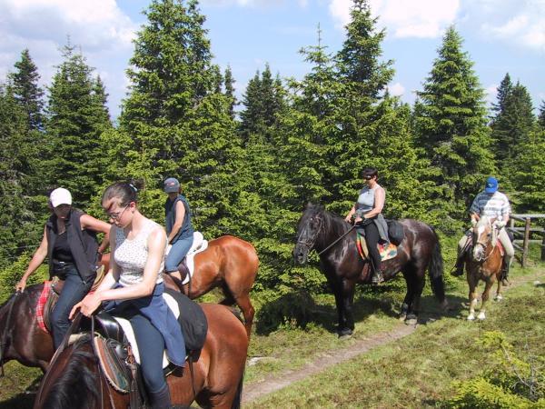 Bild 2 von Reitstall Ponderosa