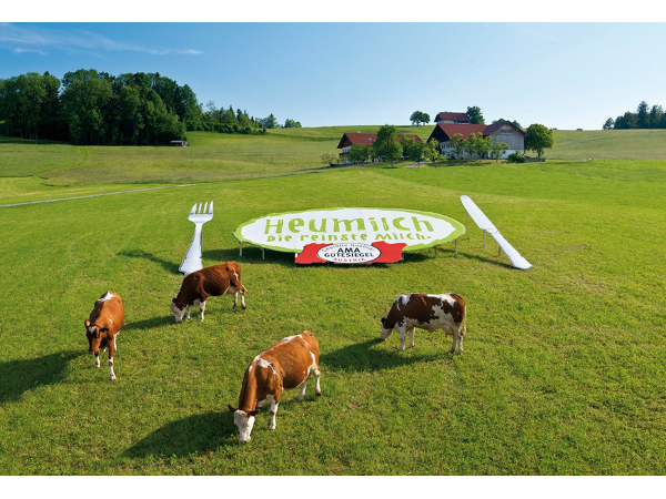 Bild 5 von Plakativ Werbetechnik