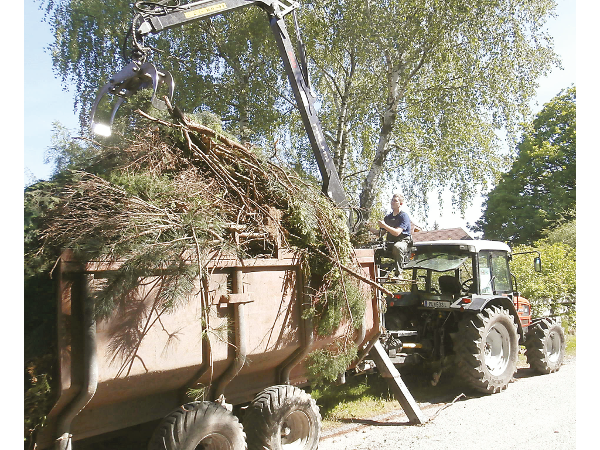 Bild 2 von Forst- und Gartenarbeiten Glück