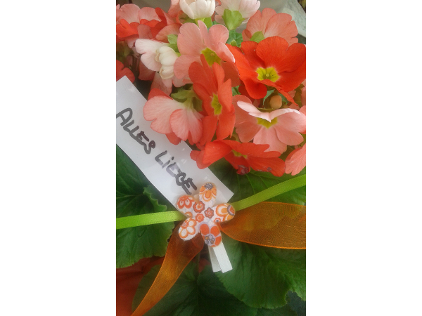 Bild 9 von Blumen Auer