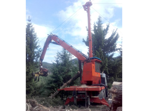 Logo von HOLZ TOLAN Adrian