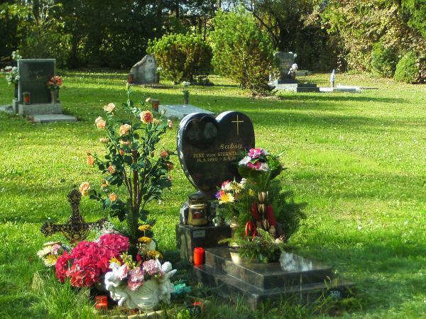 Bild 2 von Anima Tierbestattung - Tierfriedhof Waldesruh - Büro