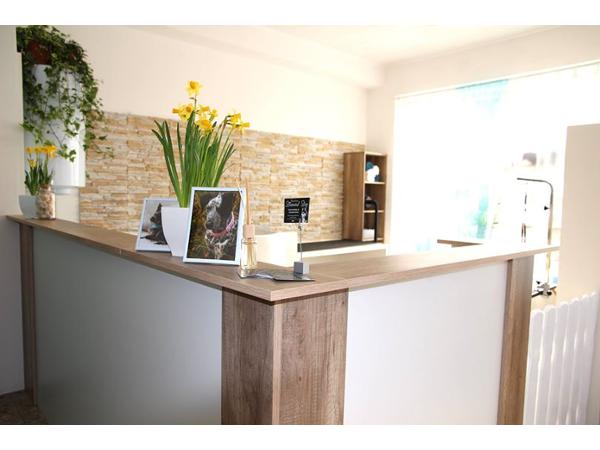 Bild 6 von Diamond Dog Hundesalon