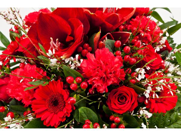 Bild 17 von Blumen Kleissner