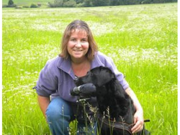 Bild 2 von Pichler Catharina GESUNDE 4 PFOTEN - Mobile Hundeschule