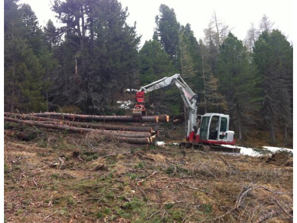 Bild 1 von Kogler Forstarbeiten, Erdbewegung, Winterdienst