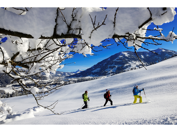 Bild 17 von Tourismusverband Kitzbüheler Alpen – Ferienregion Hohe Salve Infobüro Wörgl