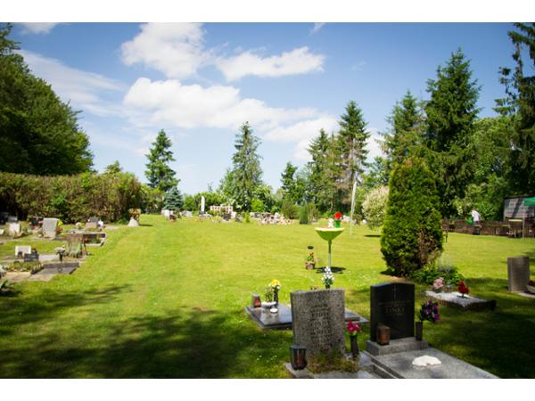 Bild 8 von Anima Tierbestattung - Tierfriedhof Waldesruh - Büro