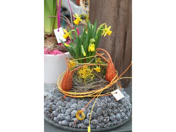 Bild 29 von Gartenbau-Blumen Helmut Friedl