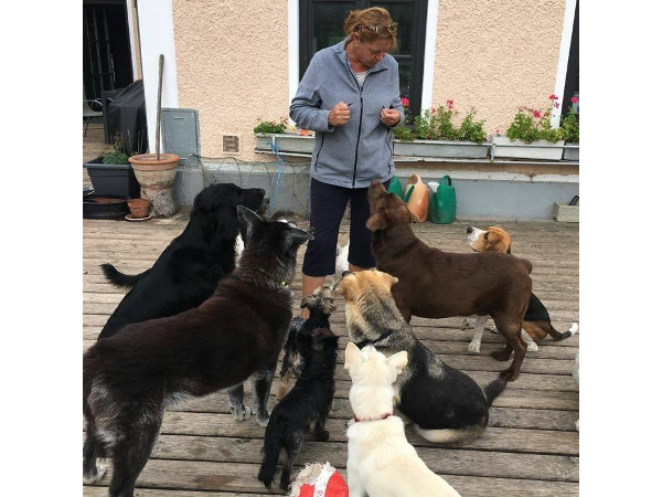 Bild 3 von Hundebetreuung Blumau