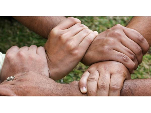 Bild 2 von Soziale Initiative Gemeinnützige GesmbH