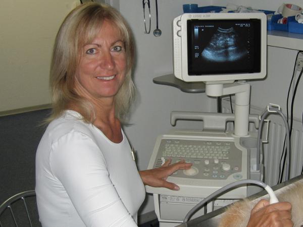 Bild 2 von Tierklinik Dr Sylvia u Dr Rudolf Tschabrun