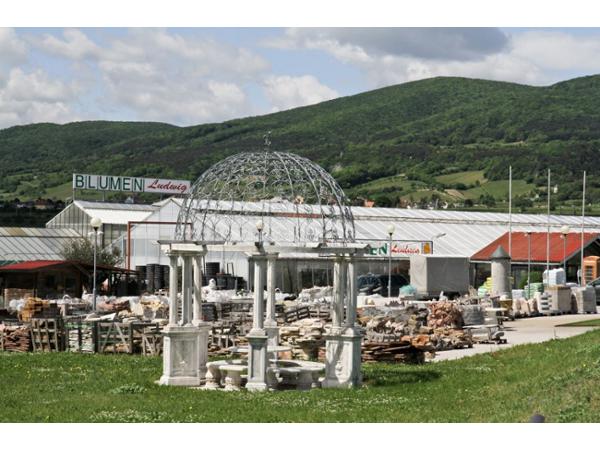 Bild 1 von Blumen Ludwig GesmbH