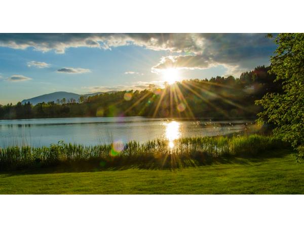 Bild 6 von Maltschacher Seewirt